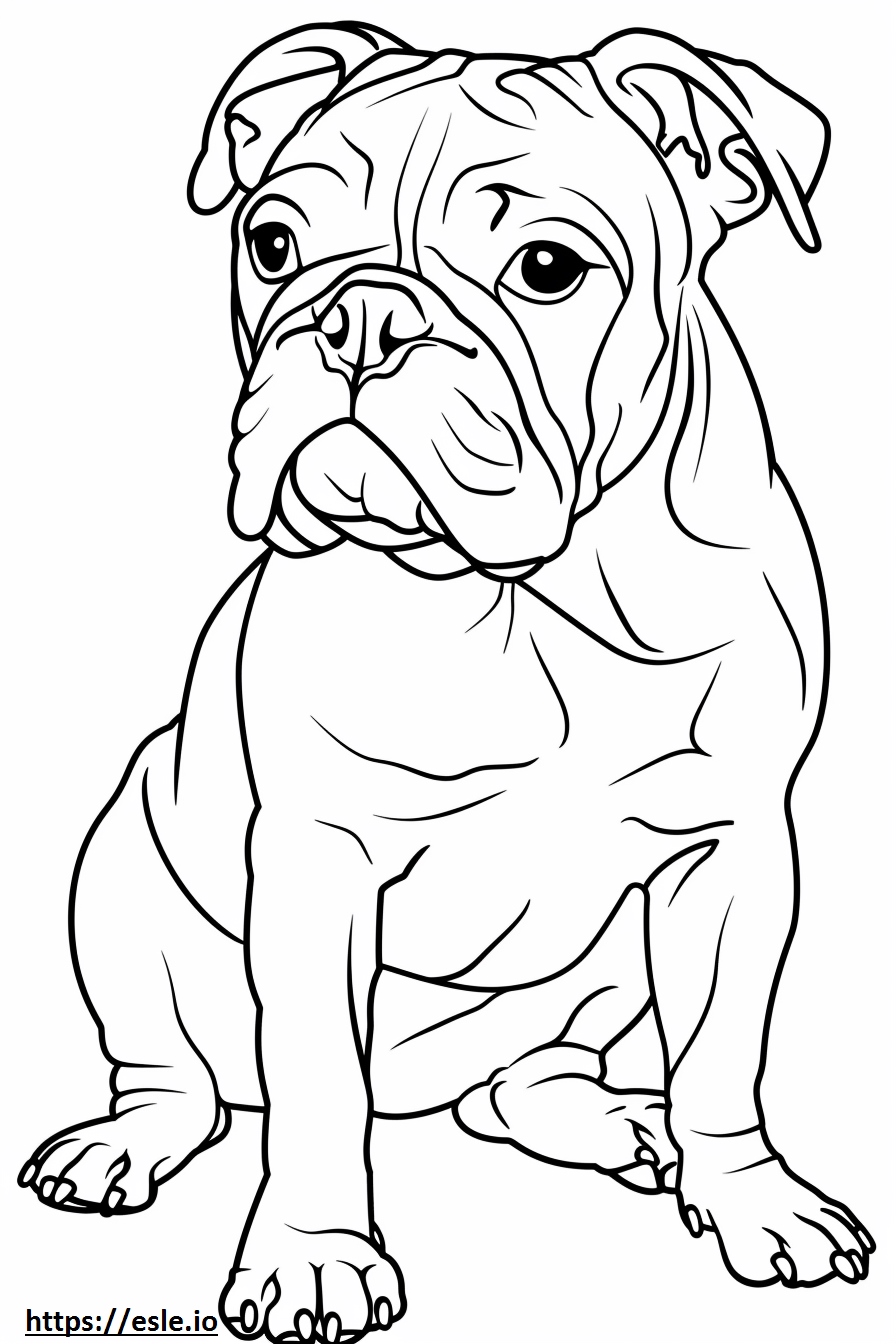 English bulldog coloring sheet