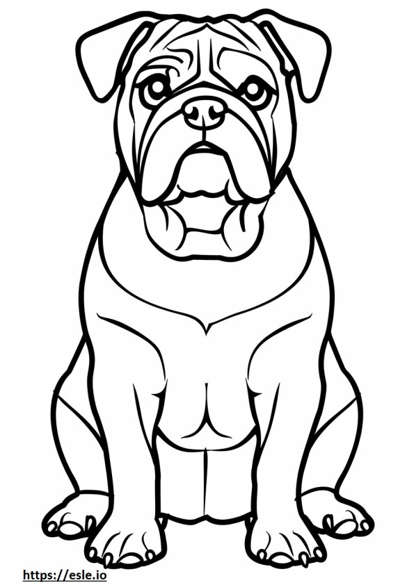 English bulldog for coloring
