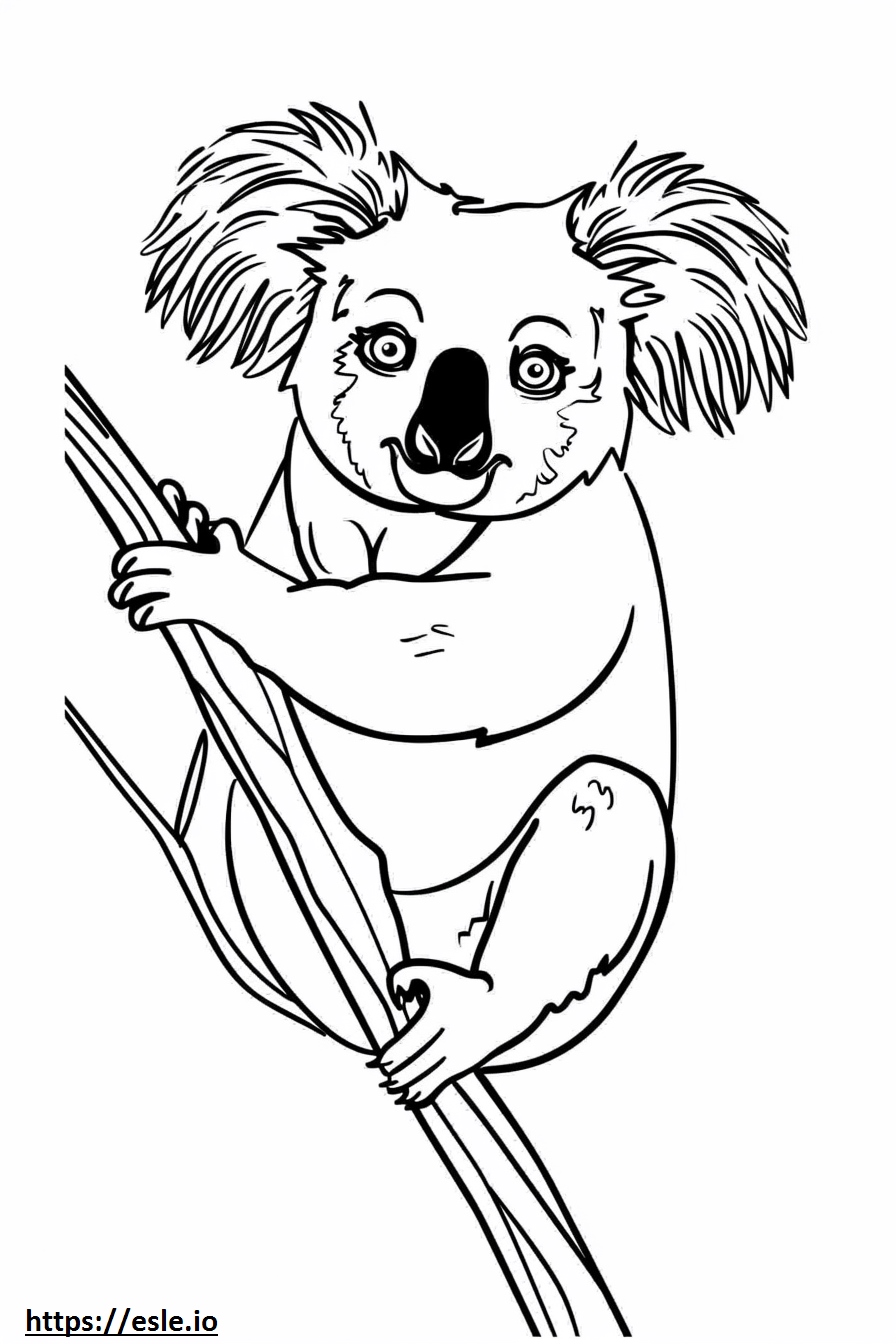 Cute kawaii koala for coloring