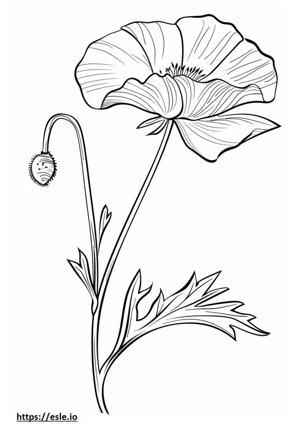 Aesthetic flower coloring page