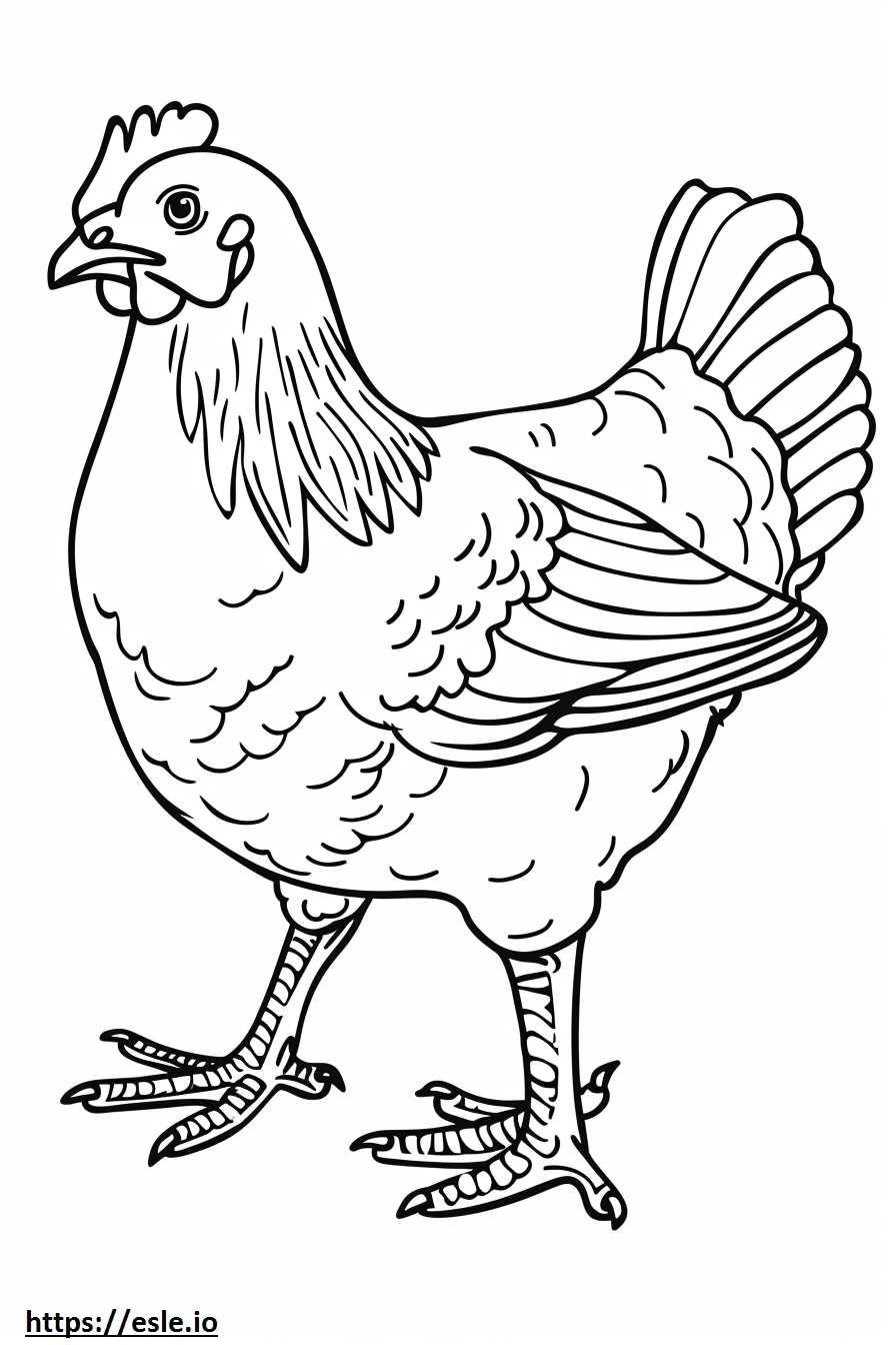 Simple chicken coloring page