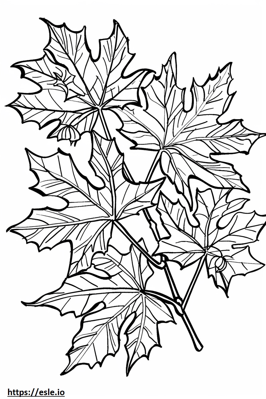 Hard Autumn Coloring Page for Adults