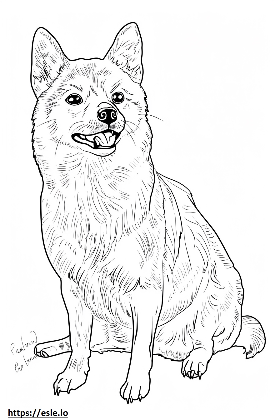 Realistic shiba inu coloring page