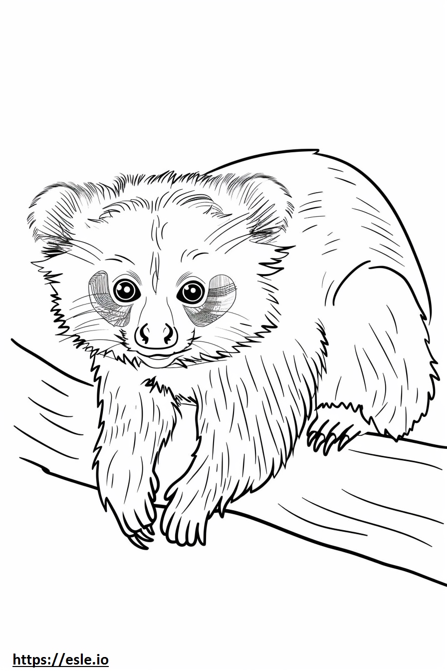 Free Printable Binturong Coloring Page for Kids and Adults