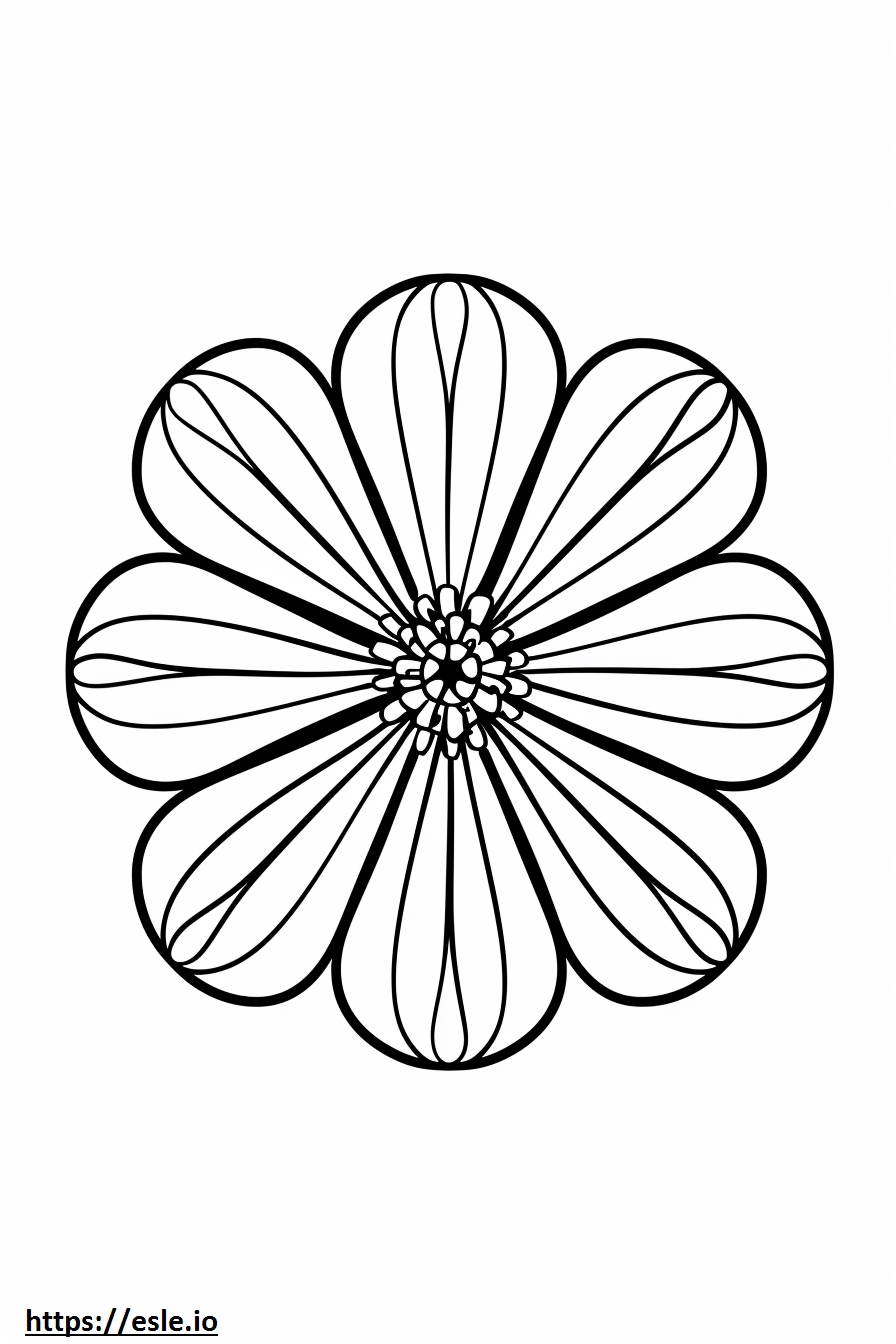Flower Mandala Coloring Page - Free Printable