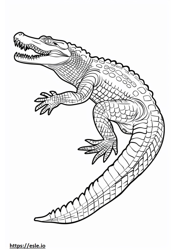 Realistic crocodile coloring page