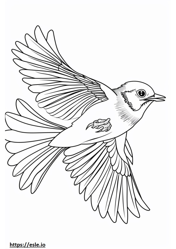 Oiseau volant réaliste coloriage a imprimer