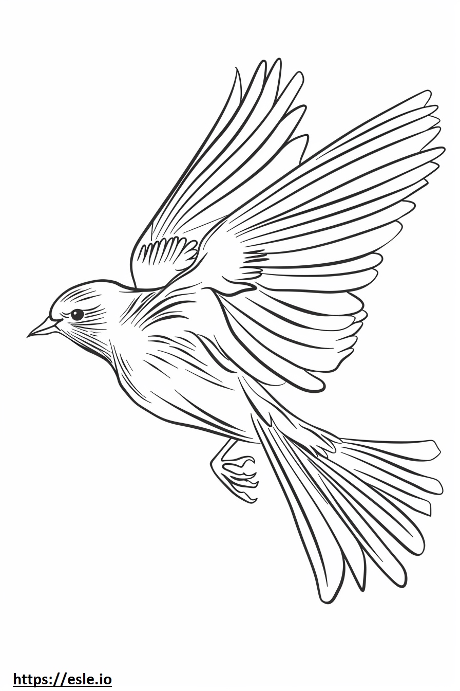 Realistic flying bird free printable