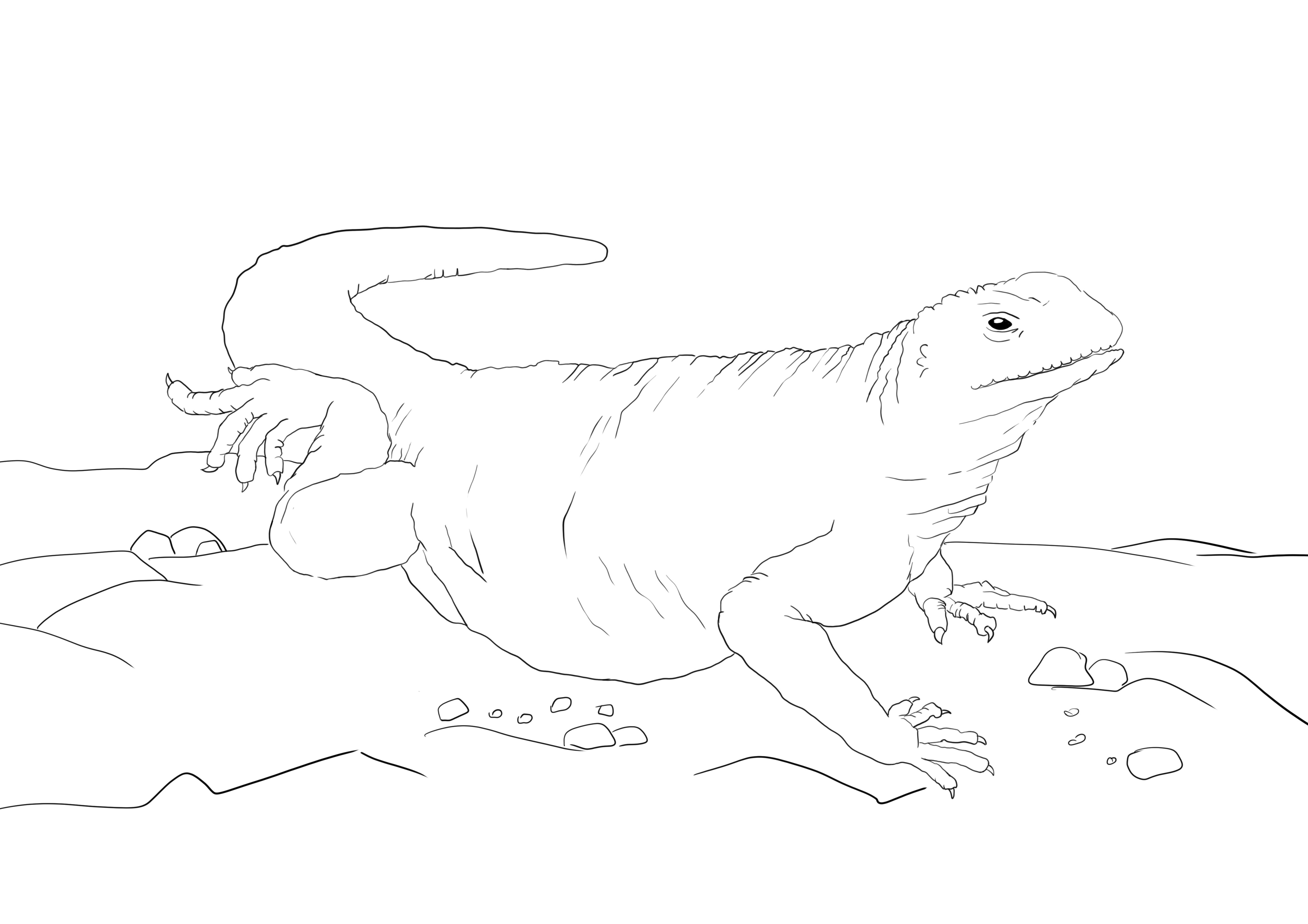 Comodo Dragon free printable picture to color for kids