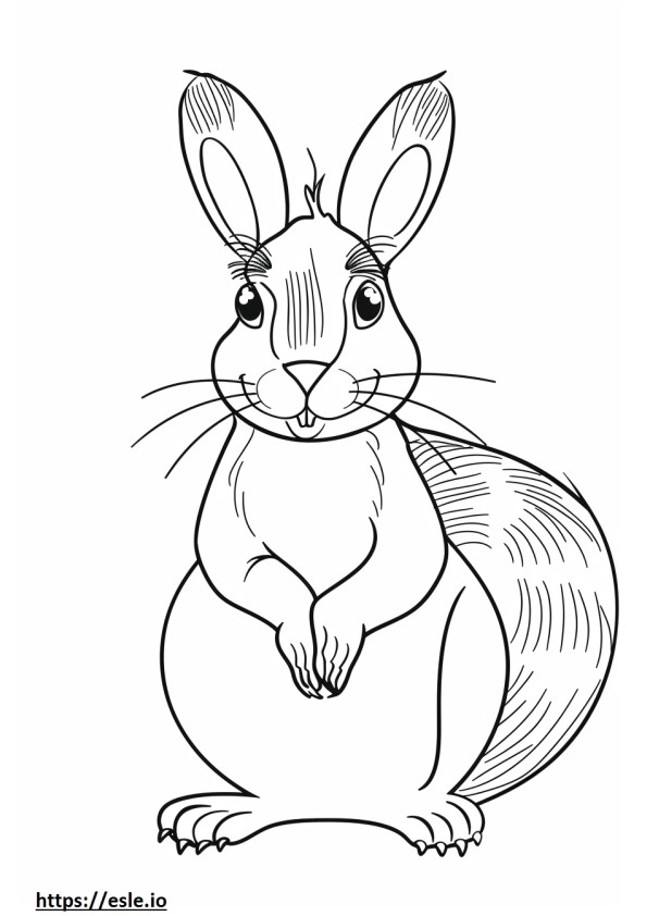 Athstetic for coloring
