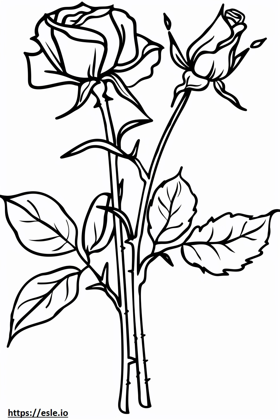 25 rose coloring page