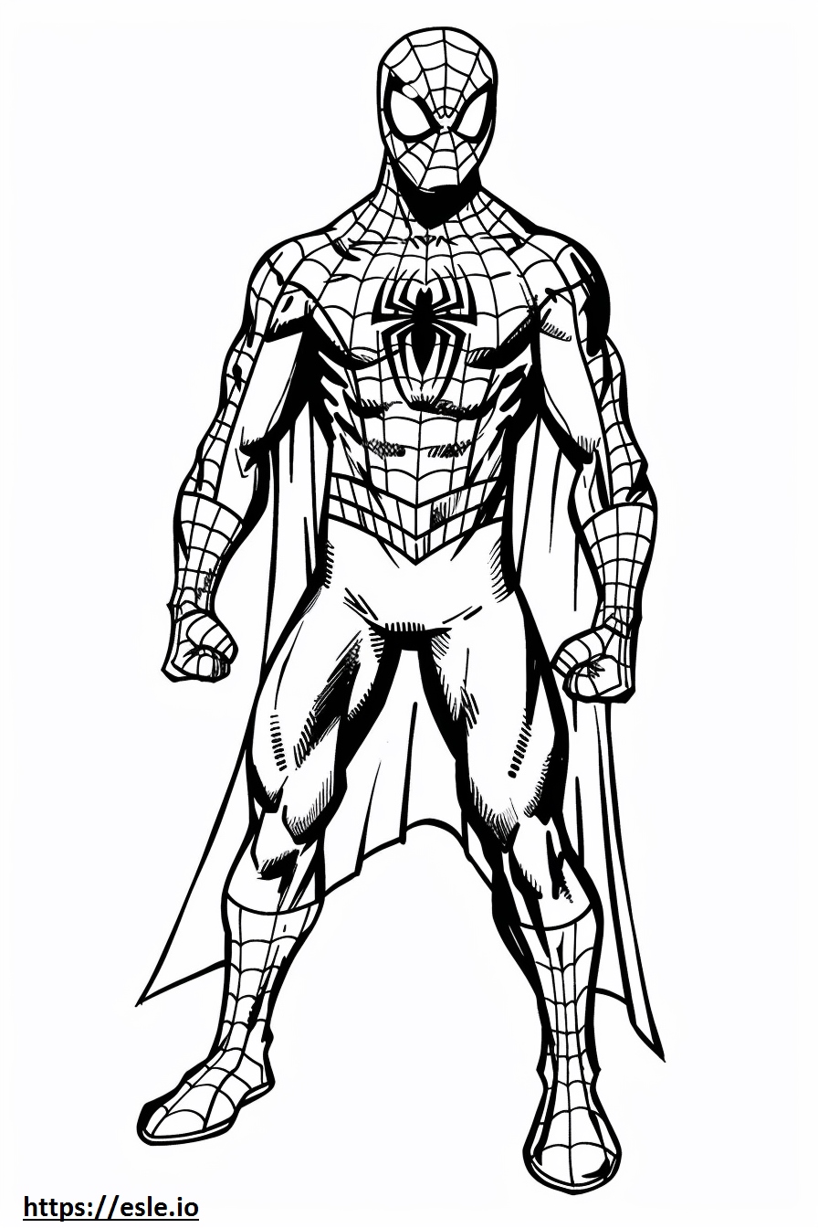 Marvel-Spidey ausmalbild