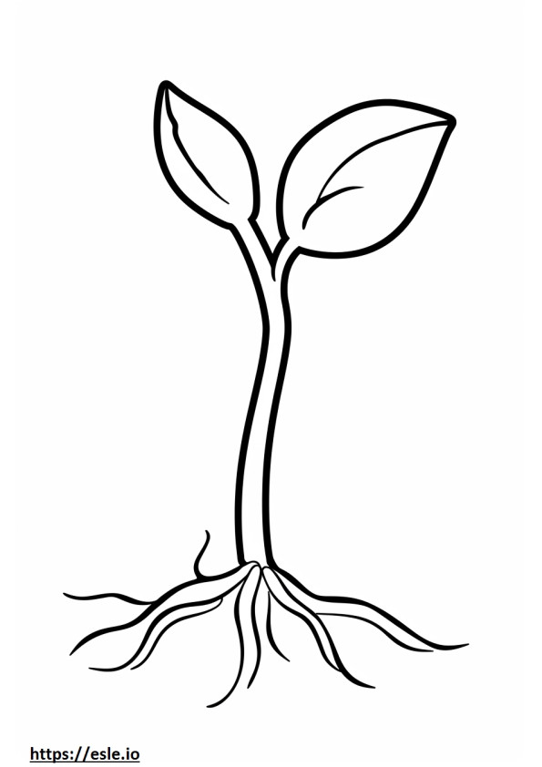 Sprout coloring sheet