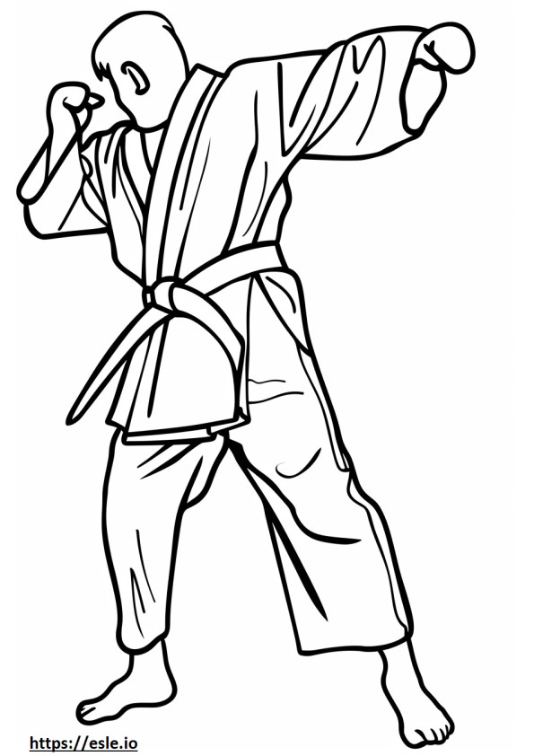 Taekwondo karate szinező