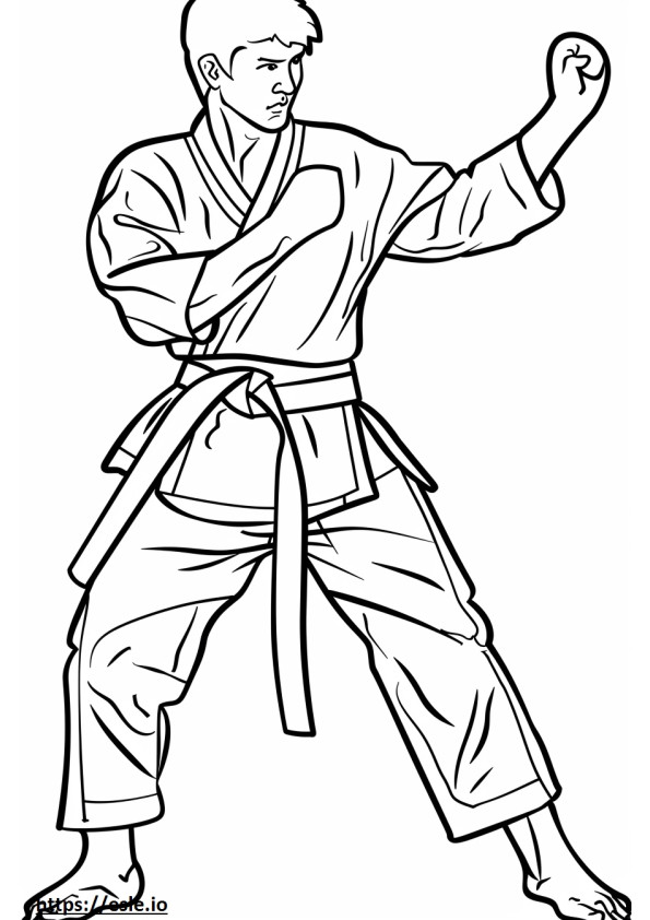 Taekwondo karate kifestő