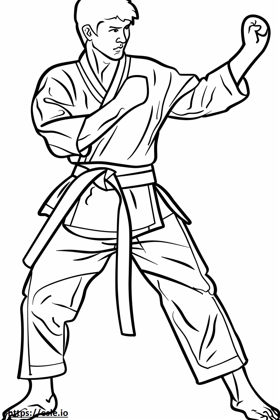 Taekwondo karate for coloring