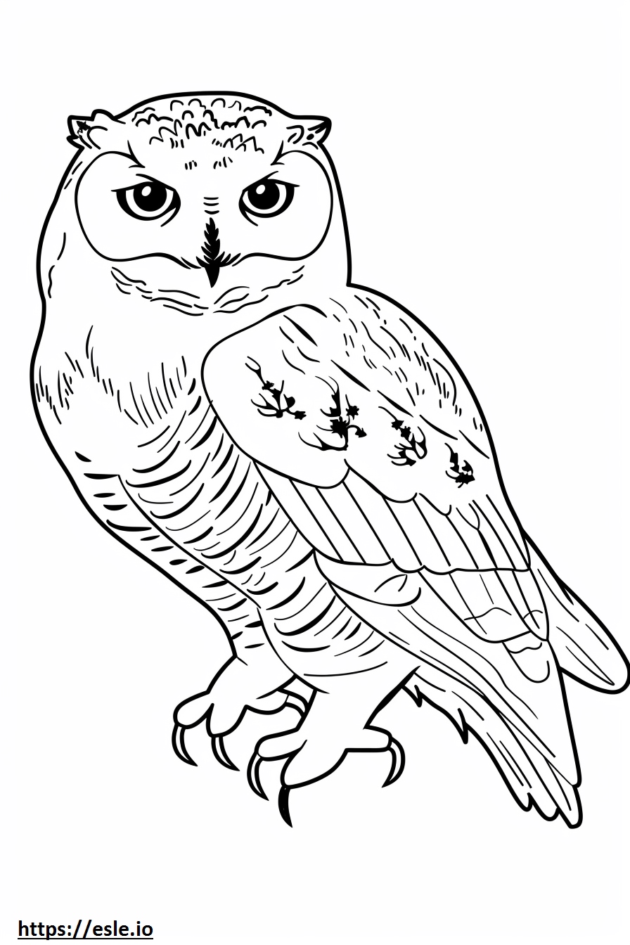 Snowy owl free printable