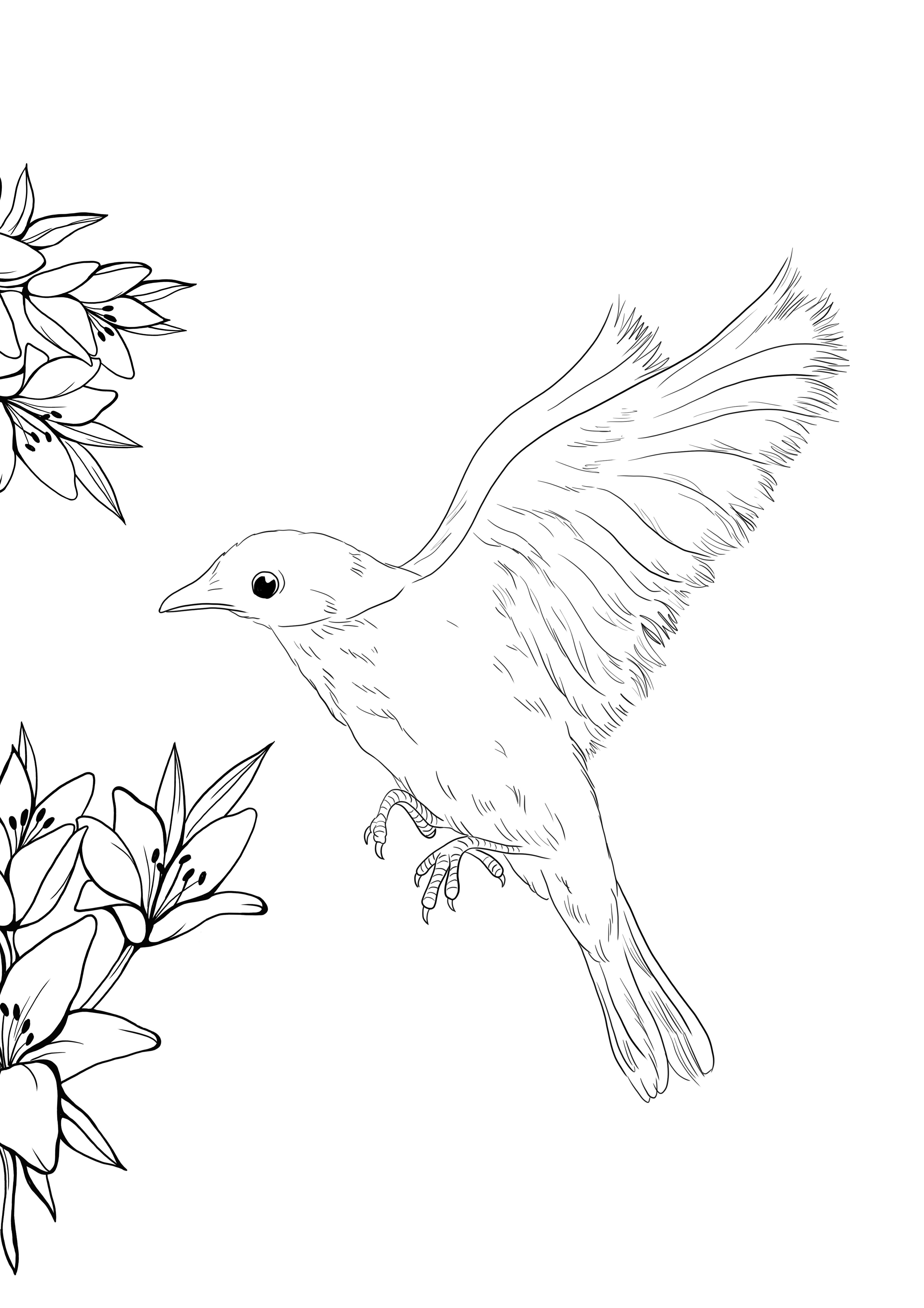 Belo pássaro azul voando no ar para colorir e imprimir gratuitamente