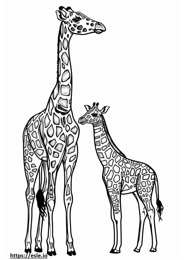 Maman et bébé girafe dessin coloriage