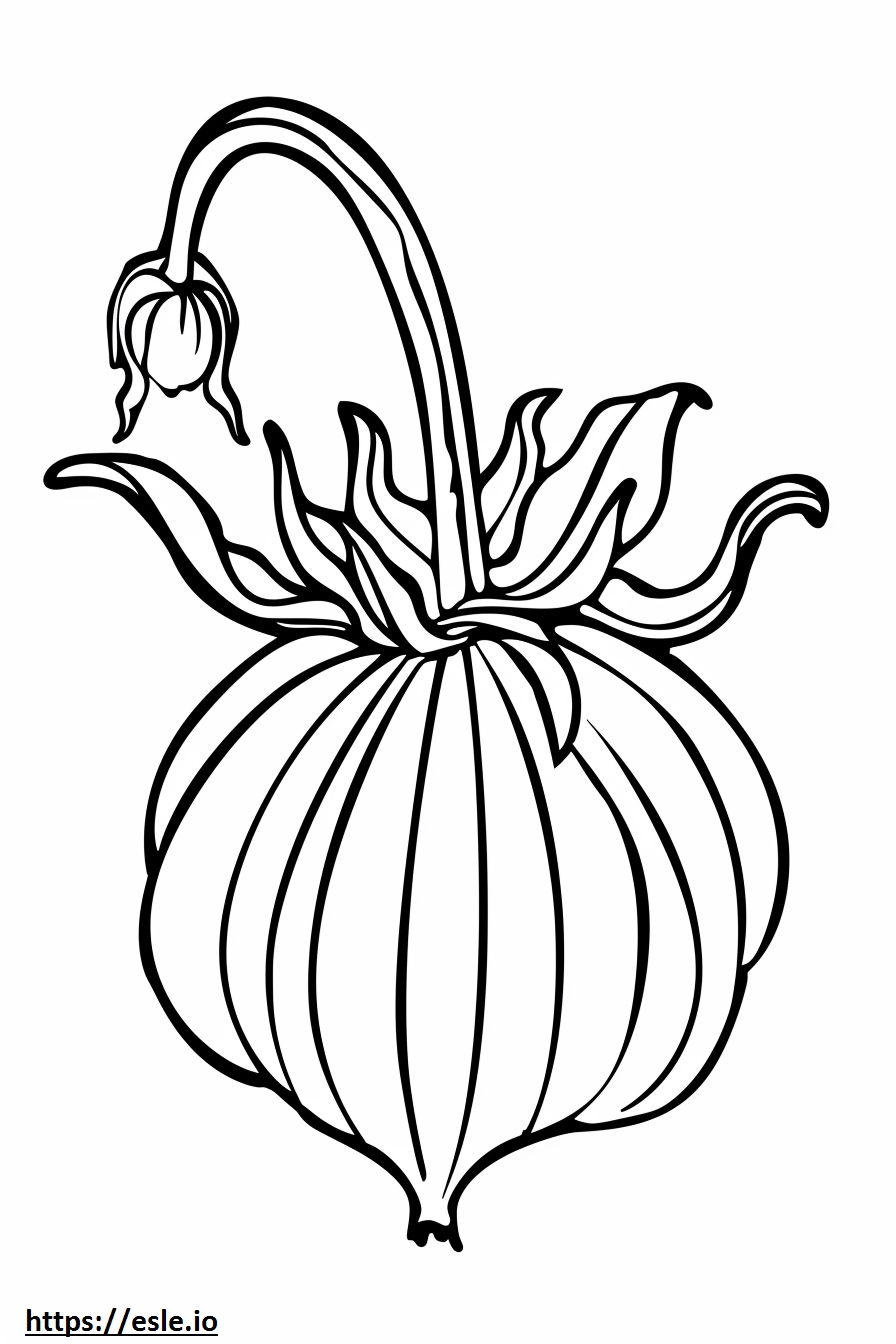Annatto Food Coloring Sheet annatto-food-coloring-sheet