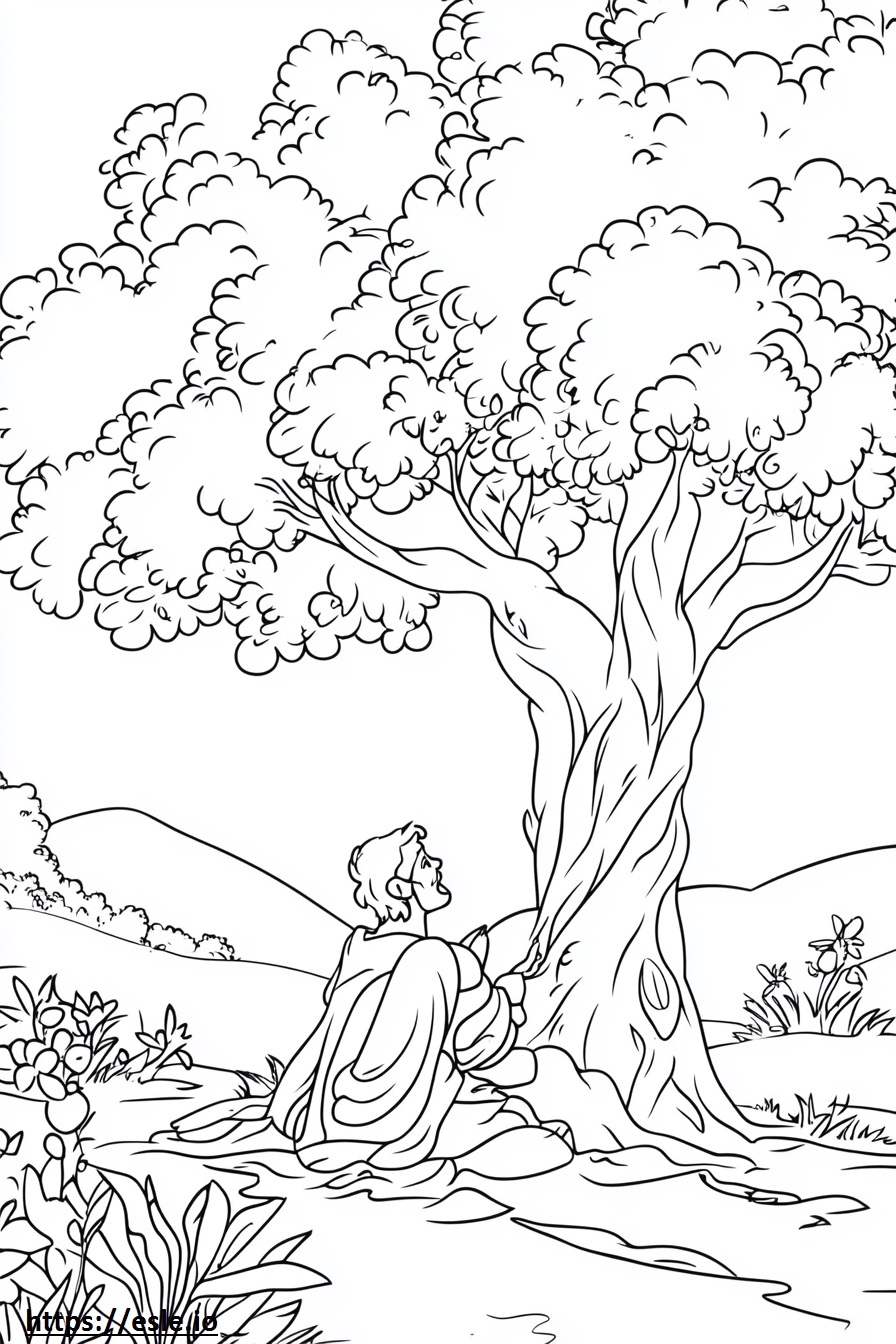 La creazione di Dio disegno da colorare