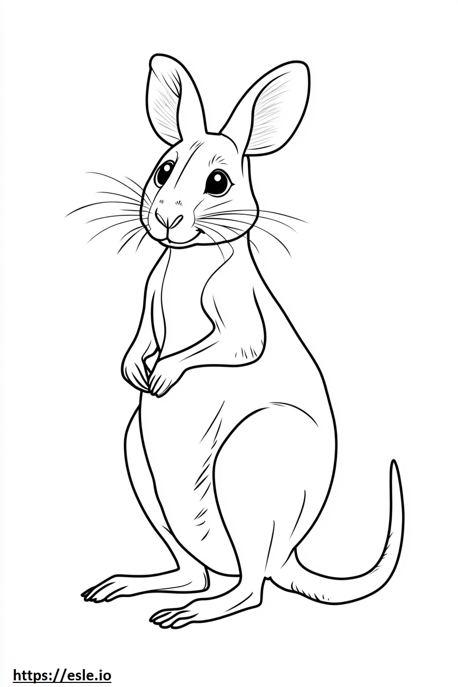 Rato canguru para colorir