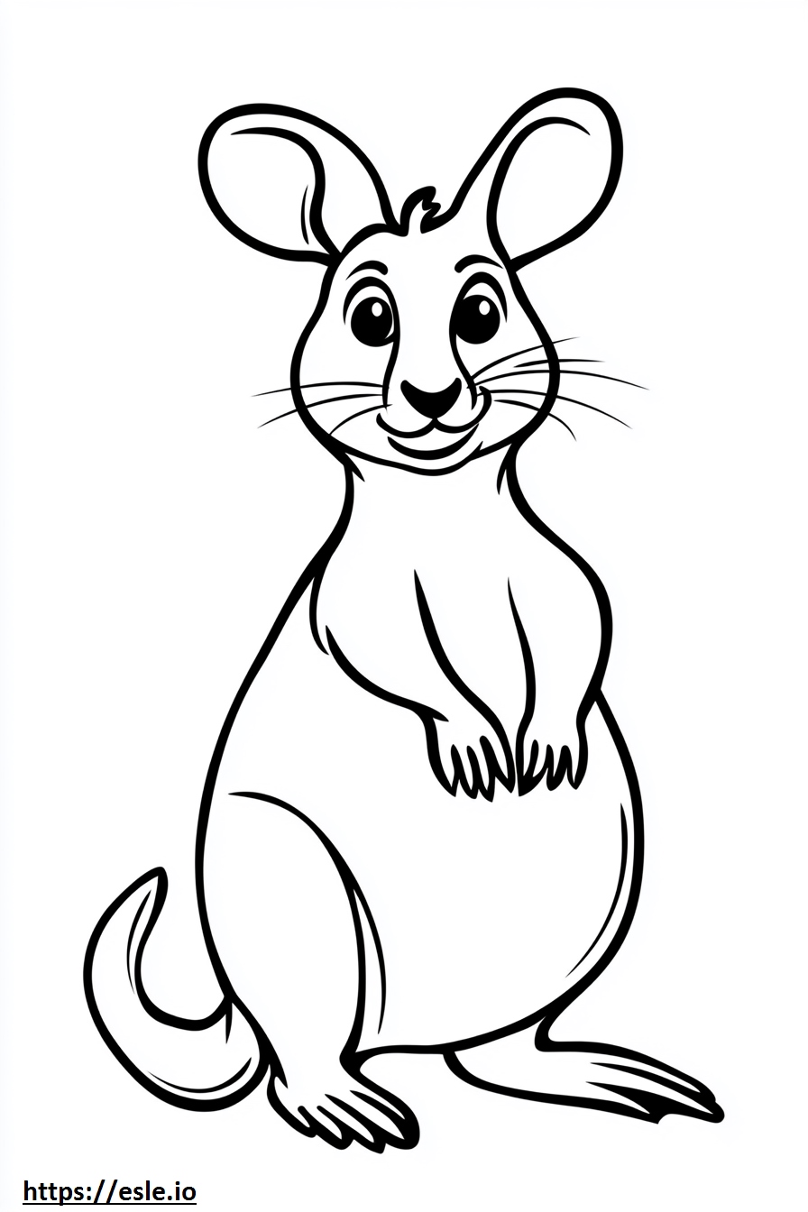Rat kangourou dessin coloriage