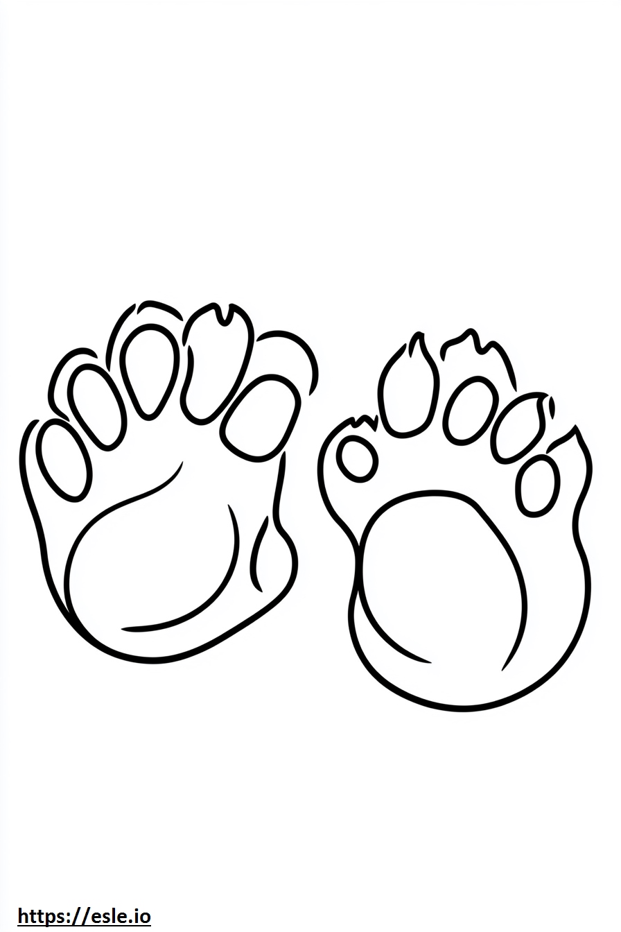 Animal Tracks Coloring Page - Free Printable PDF