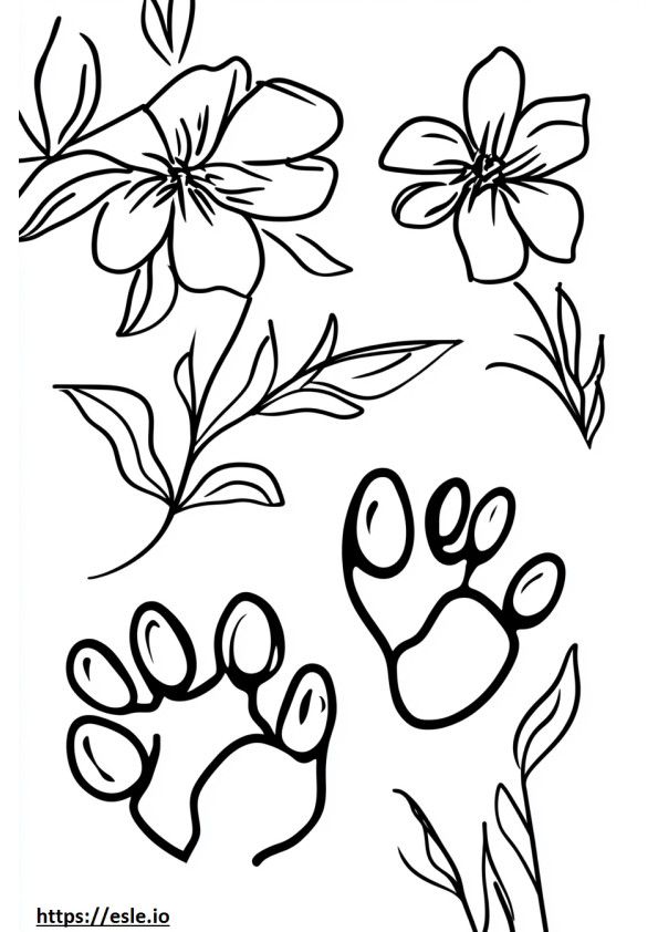 Animal tracks free printable