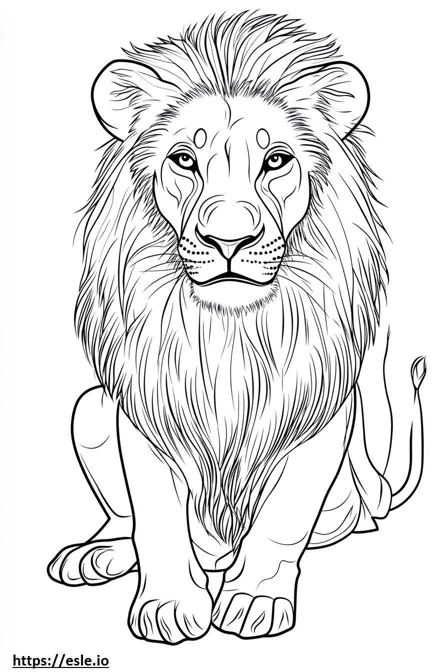 Realistic lion coloring sheet