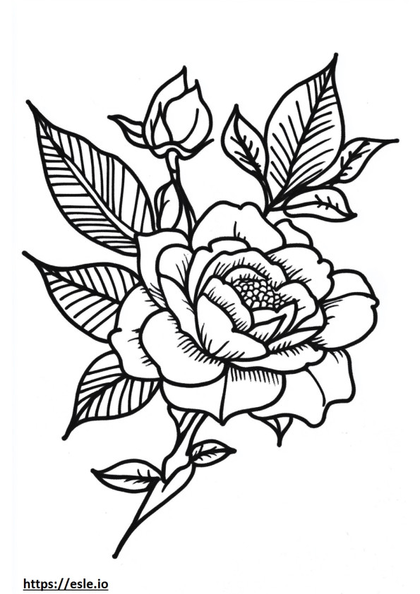 Tatuaggio facile da colorare e stampare