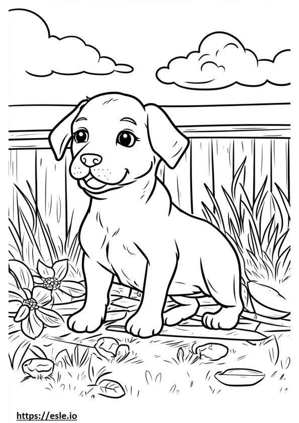 Summer animal coloring page