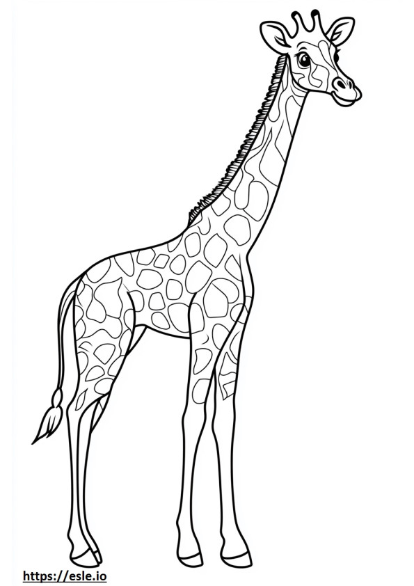 Detailed giraffe free printable