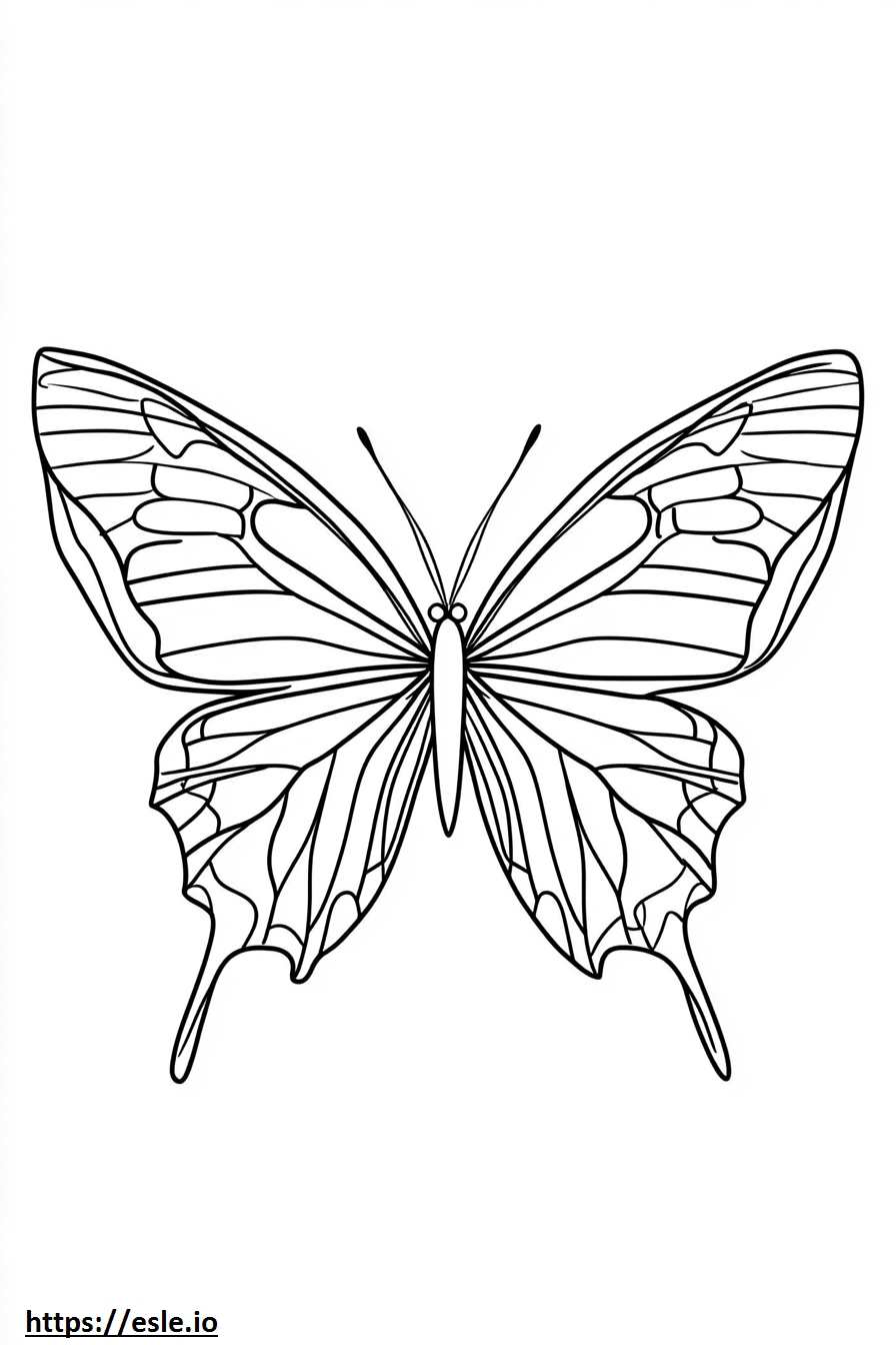 Kleine vlinder kleurplaten printen kleurplaat