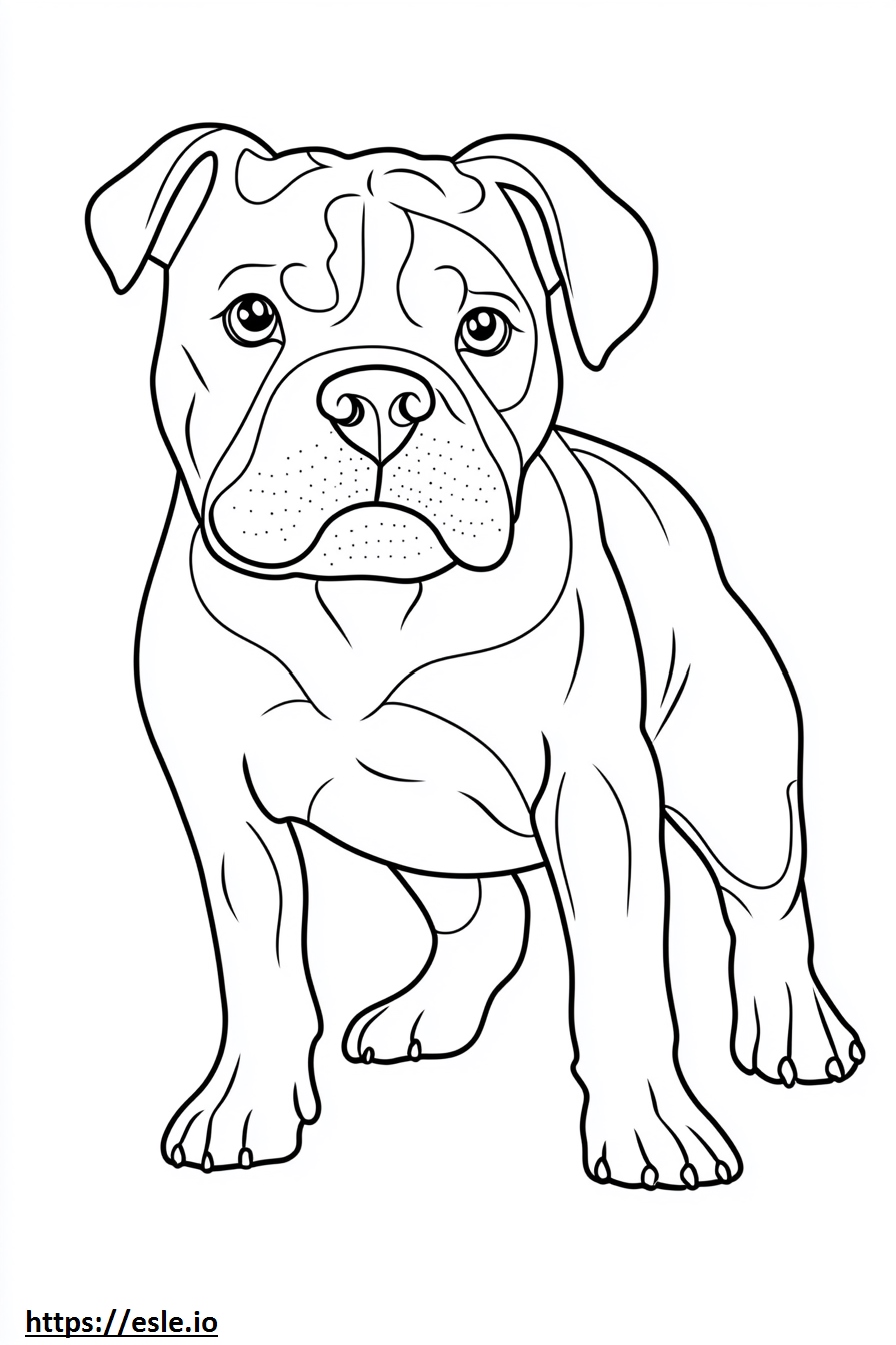 Bullmastiff da colorare e stampare