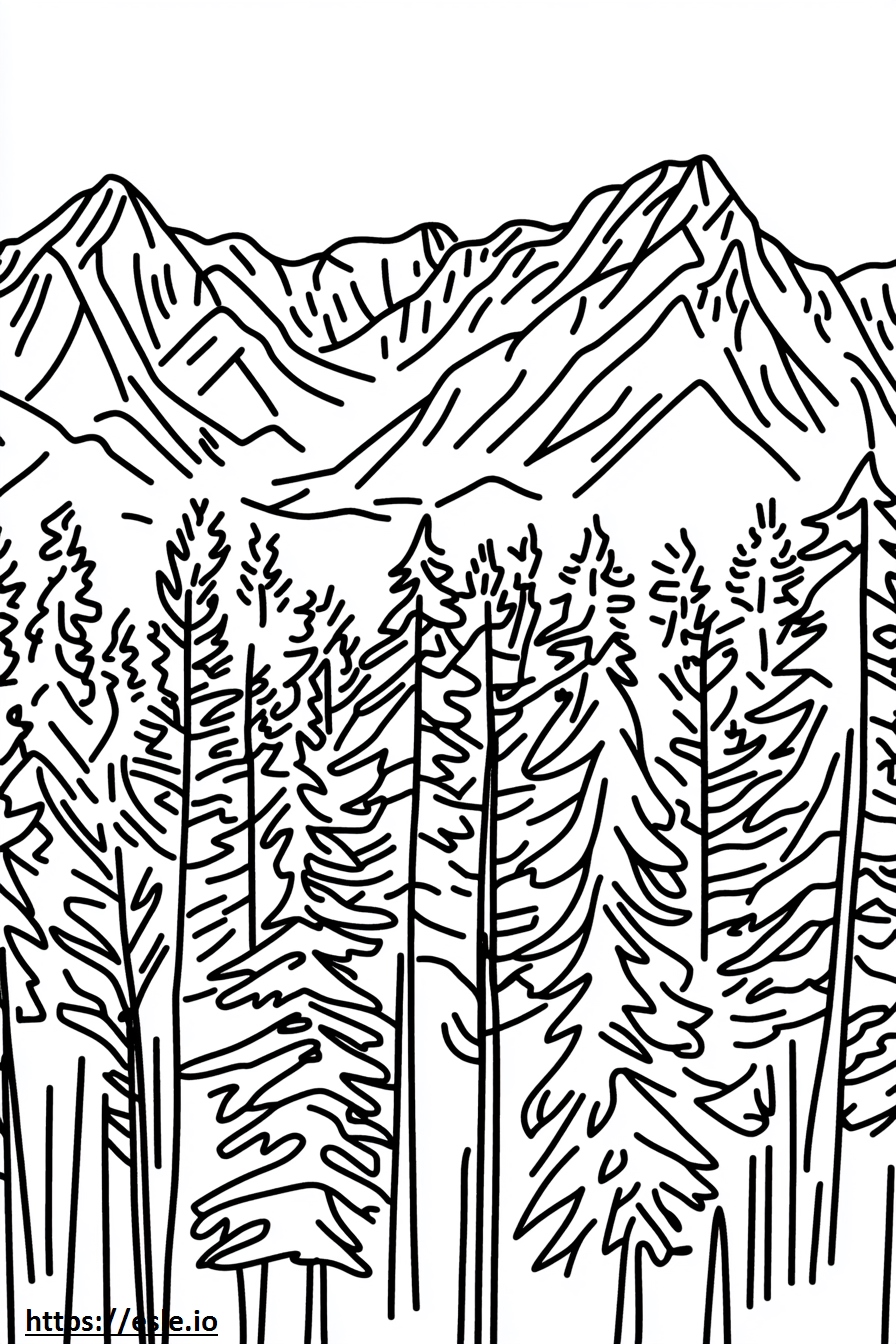 Free Printable White Pages Colorado Springs Coloring Page