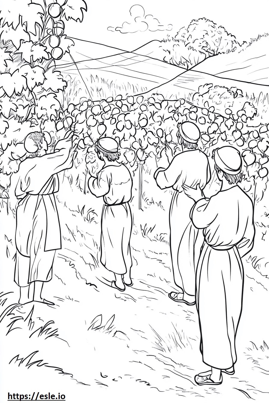 Parable of the workers in the vineyard coloring page