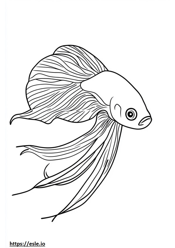 Betta da colorare