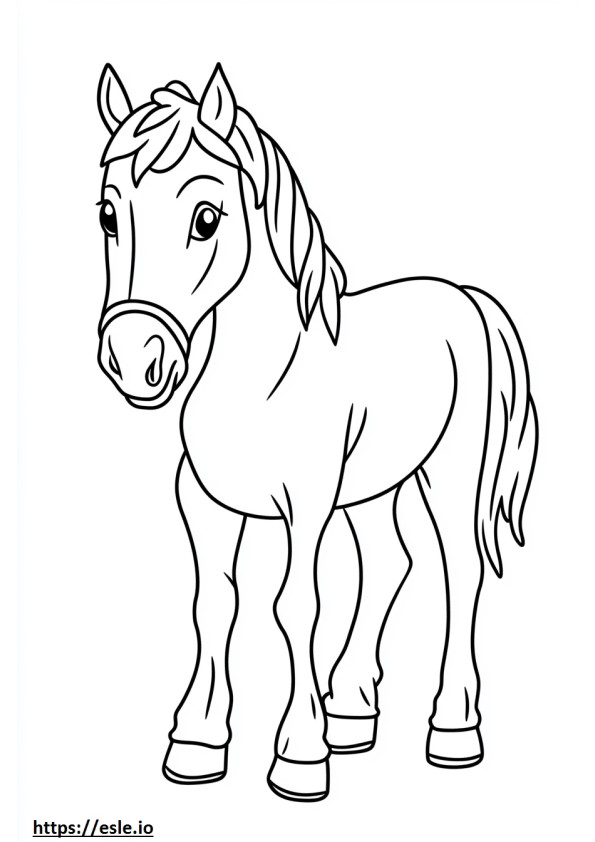 Horse coat coloring page