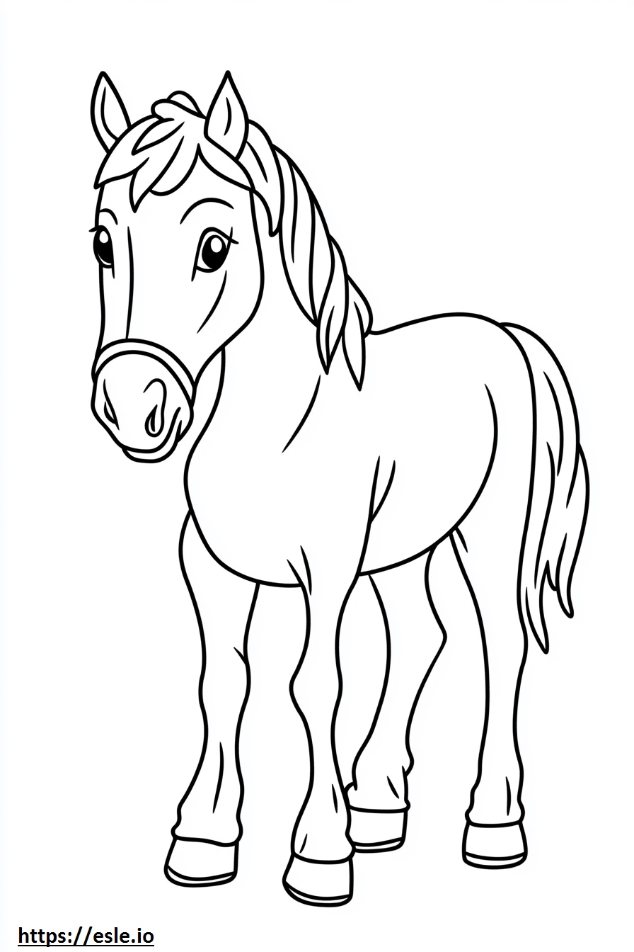 Cappotto di cavallo da colorare e stampare