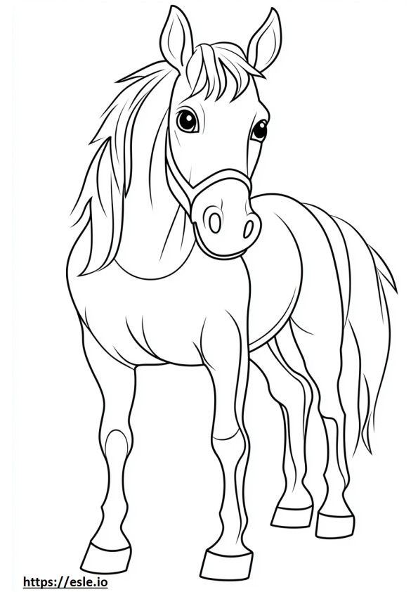 Horse coat for coloring