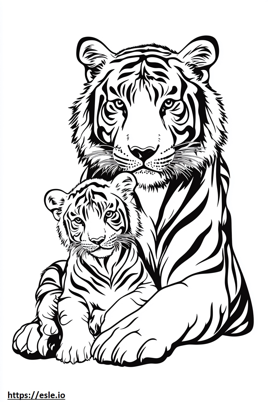 Mamma e cucciolo di tigre da colorare e stampare