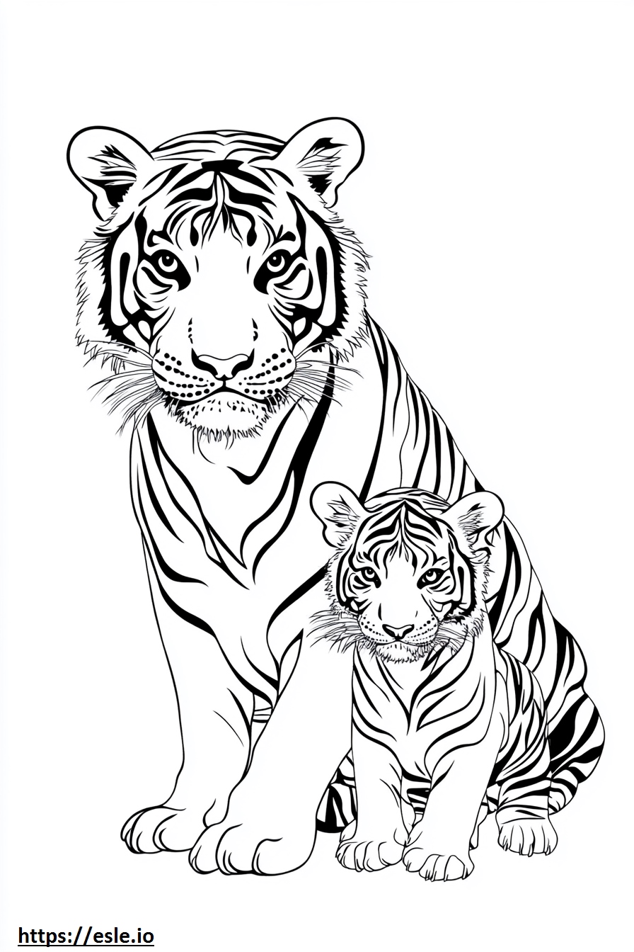 Mamma e cucciolo di tigre da stampare