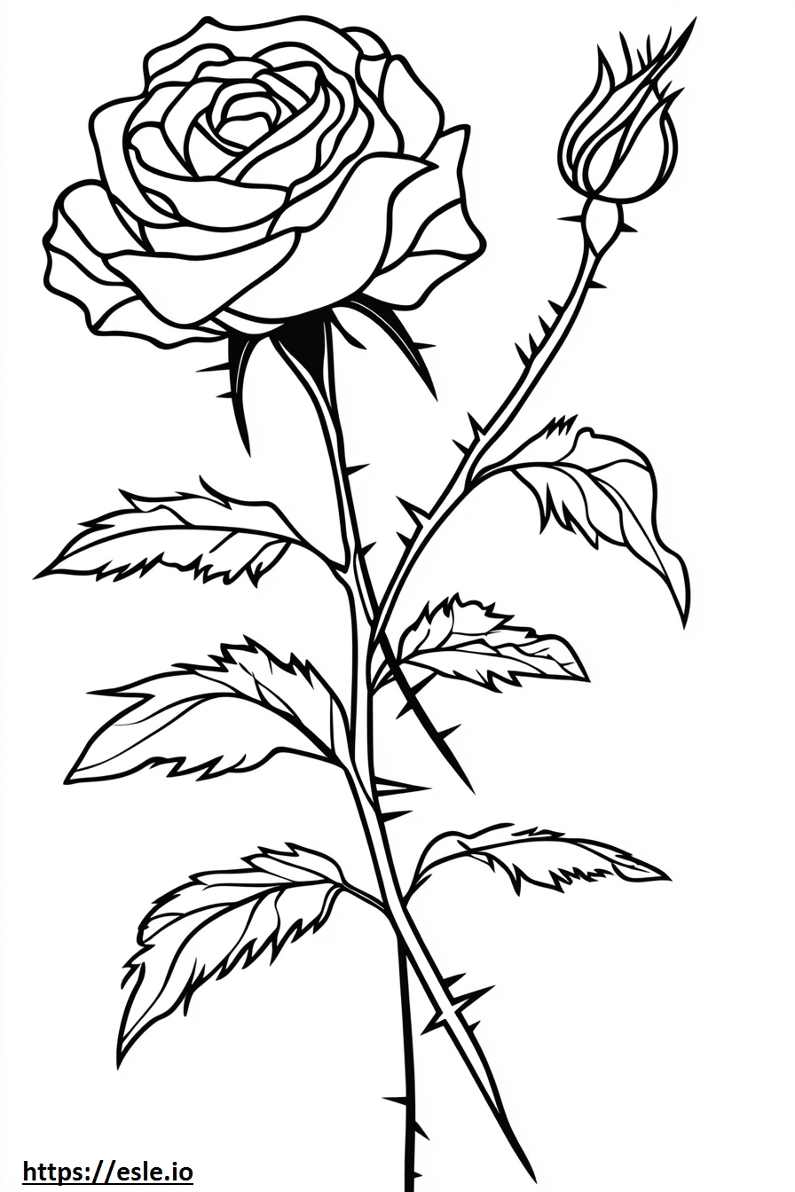 Rose with thorns for coloring