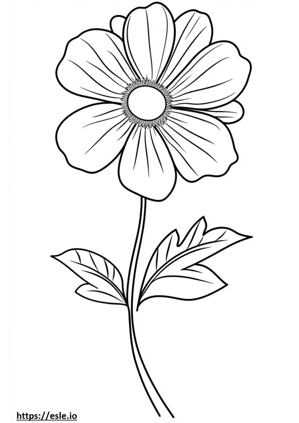 Große Blume ausmalbild zum ausdrucken