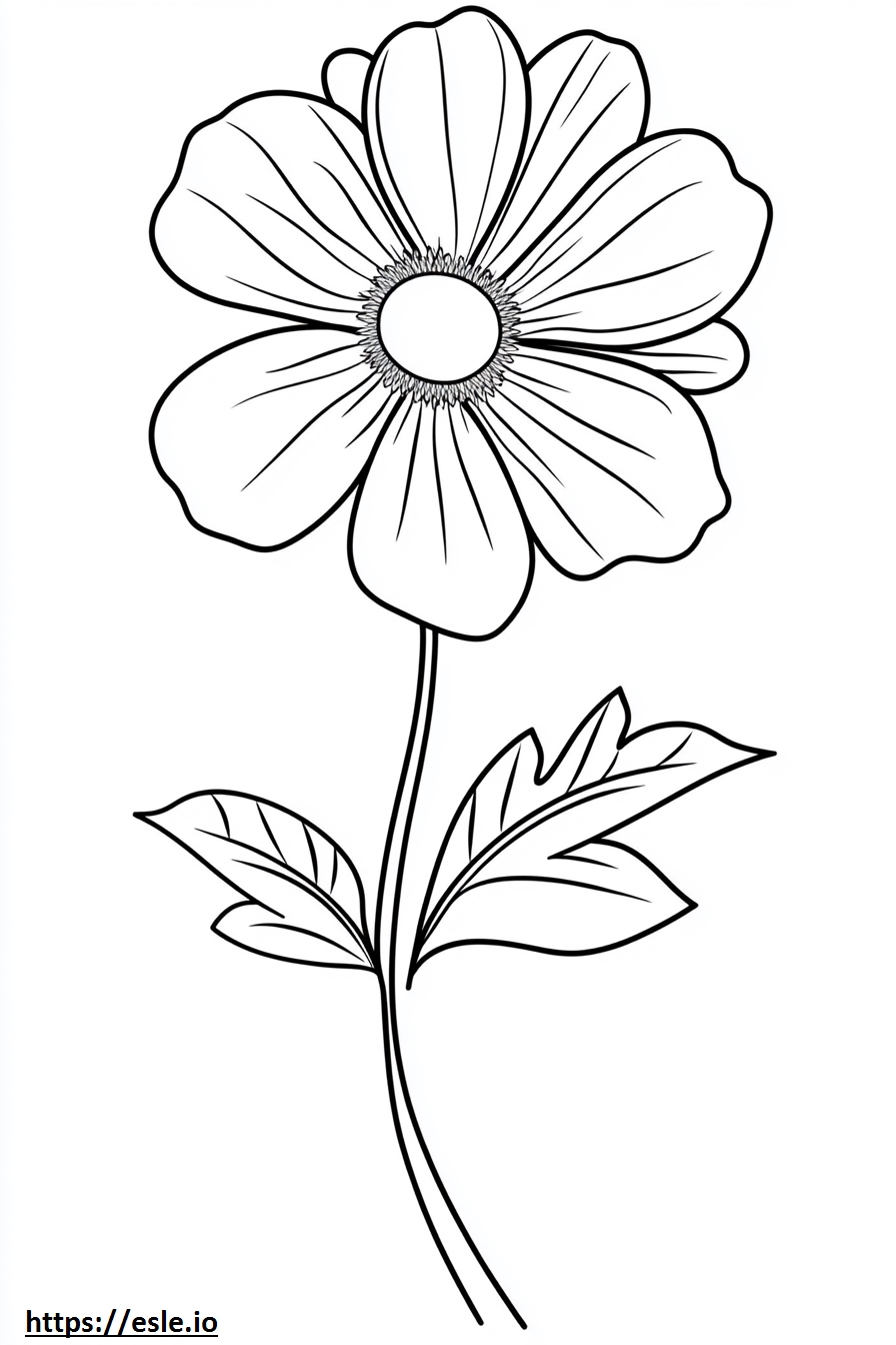 Große Blume ausmalbild zum ausdrucken