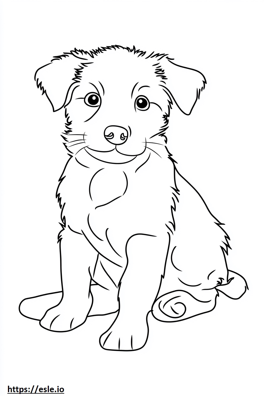 Border collie puppy coloring page