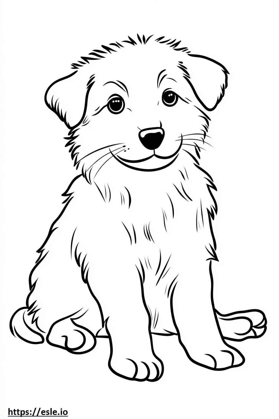 Border collie puppy coloring sheet