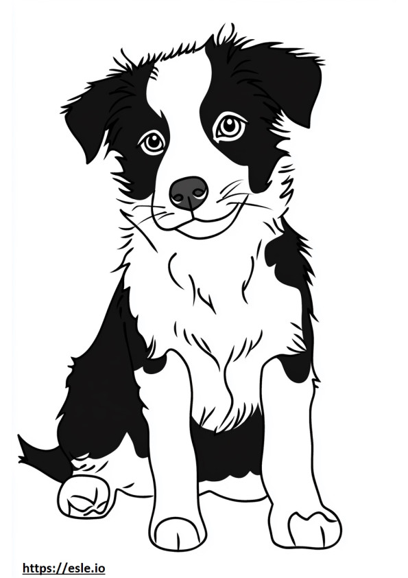 Border collie kiskutya kifestő