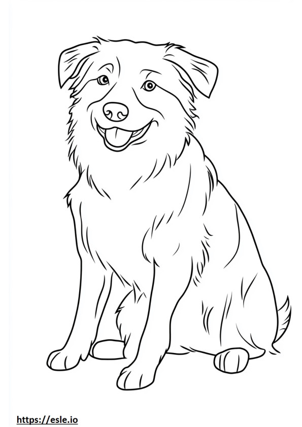 Border collie kiskutya kifestő nyomtatható